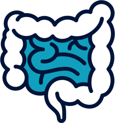 Gastrointestinal Issues