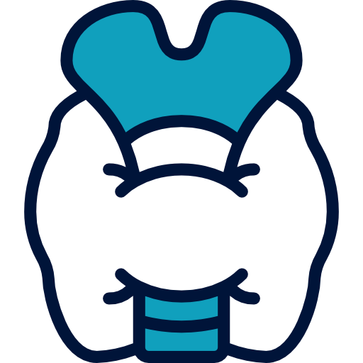 Thyroid Care